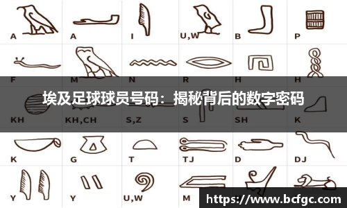 埃及足球球员号码：揭秘背后的数字密码